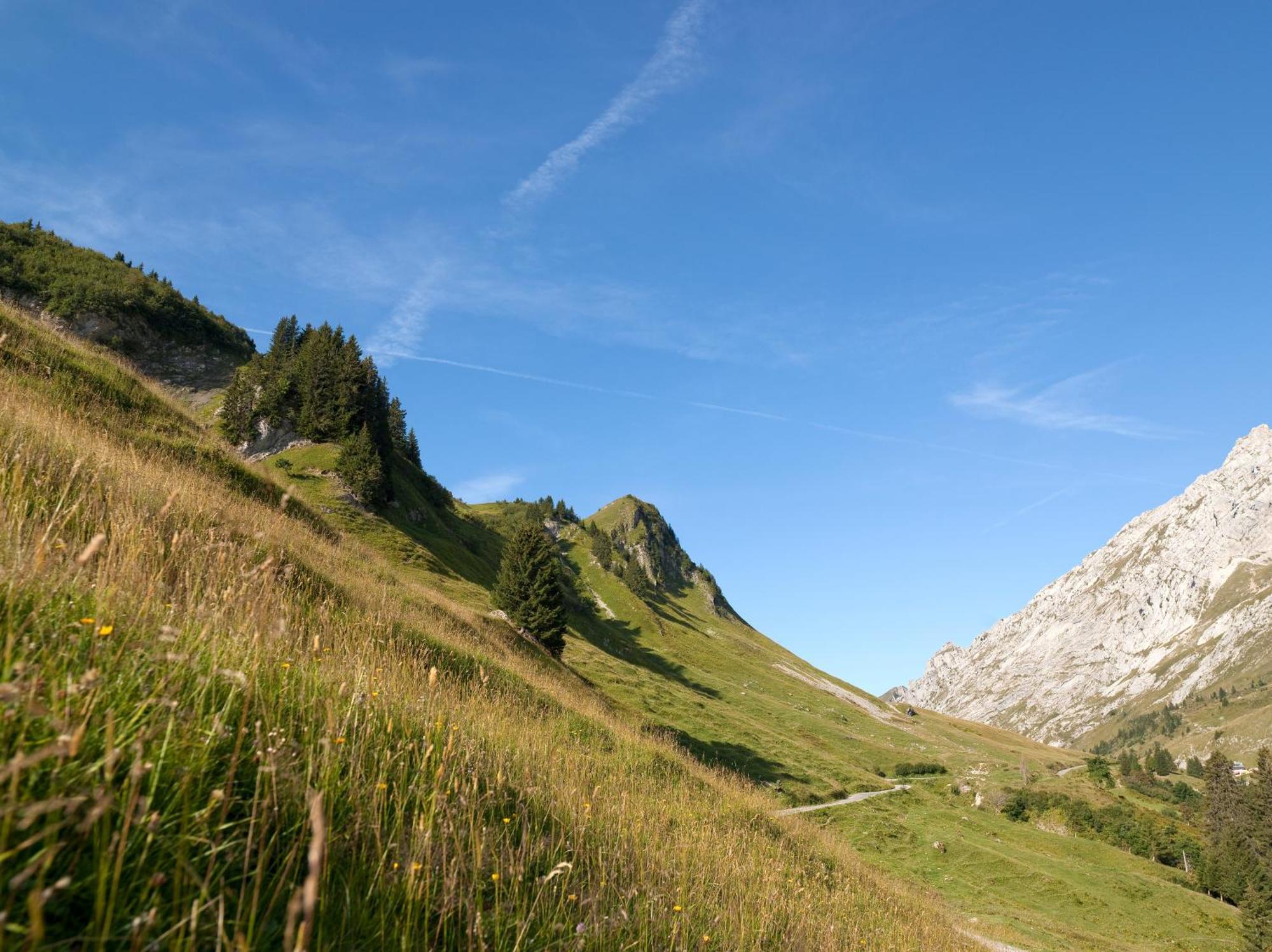 Mgm Hotels & Residences - Residence Chalets De Joy Le Grand-Bornand Zewnętrze zdjęcie